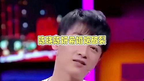 娱乐陈晓吃瓜图片大全