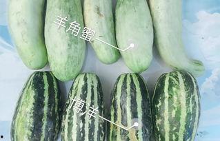 网红各种吃瓜网站,娱乐圈幕后真相大曝光